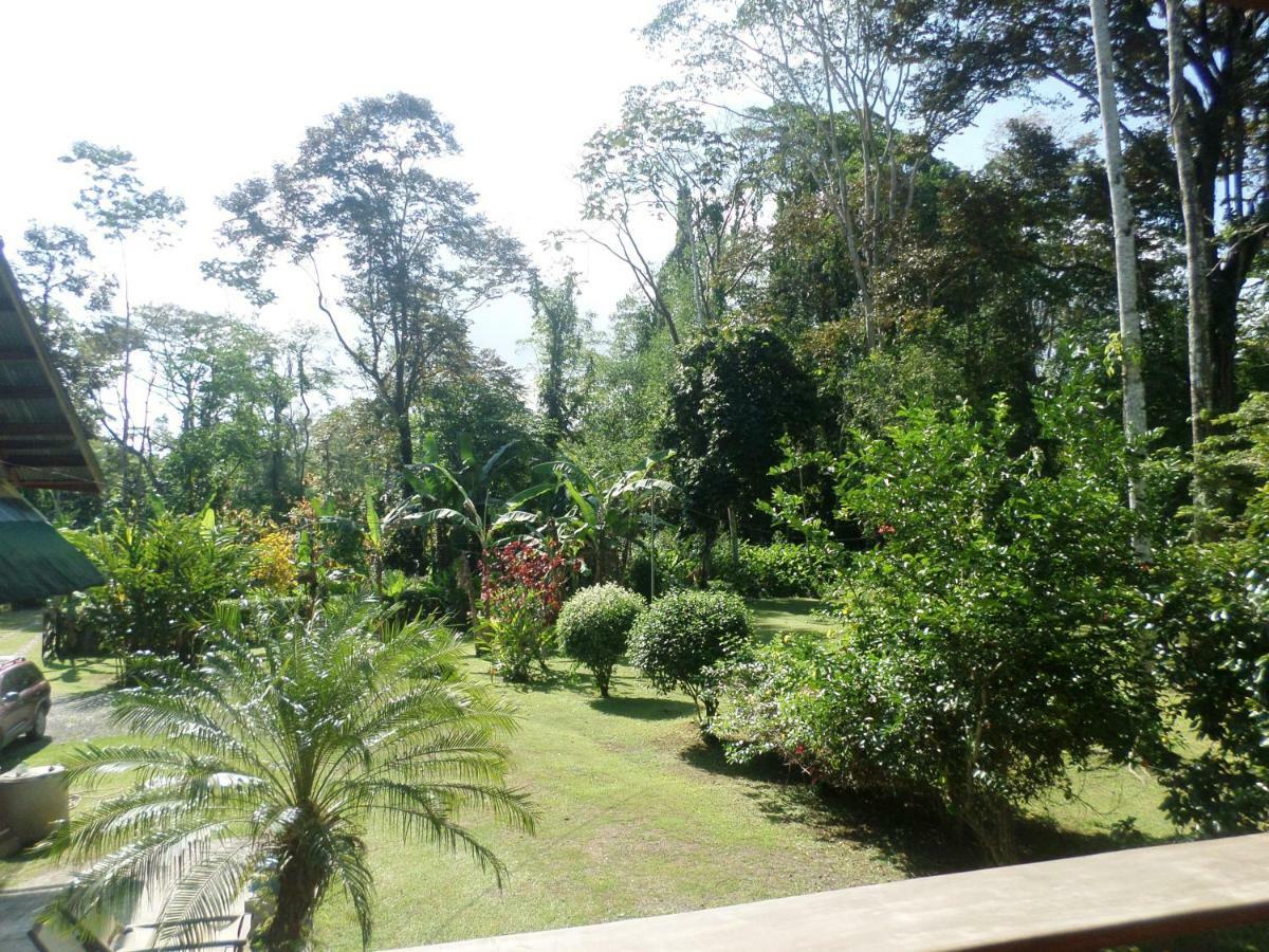 Hotel & Cabinas Nadine Cahuita Exterior photo